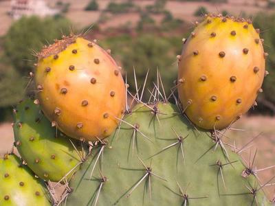 La M!�LL�UR SOL!ST!ON (l3assma)